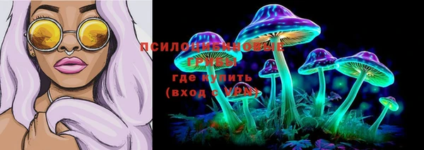 сатива Алексеевка