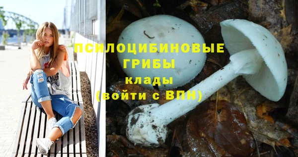 apvp Алзамай