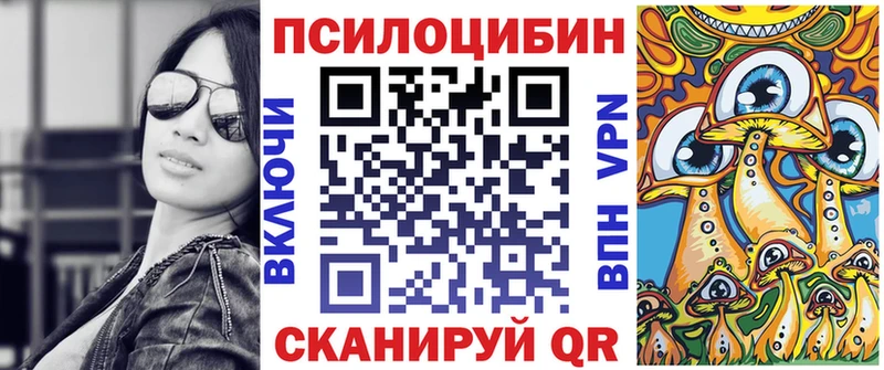 Псилоцибиновые грибы Psilocybe  Аркадак 
