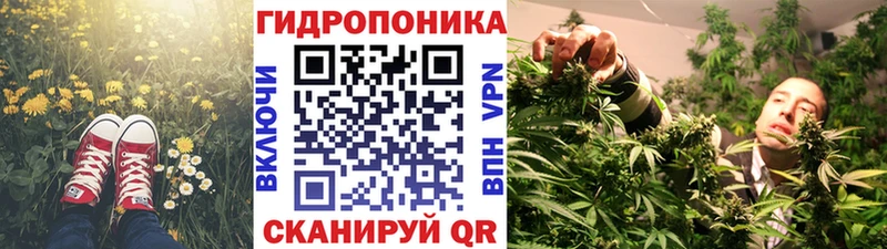 где купить наркотик  Аркадак  Бошки Шишки индика 